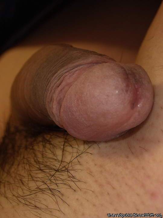 Adult image from shavedpubis