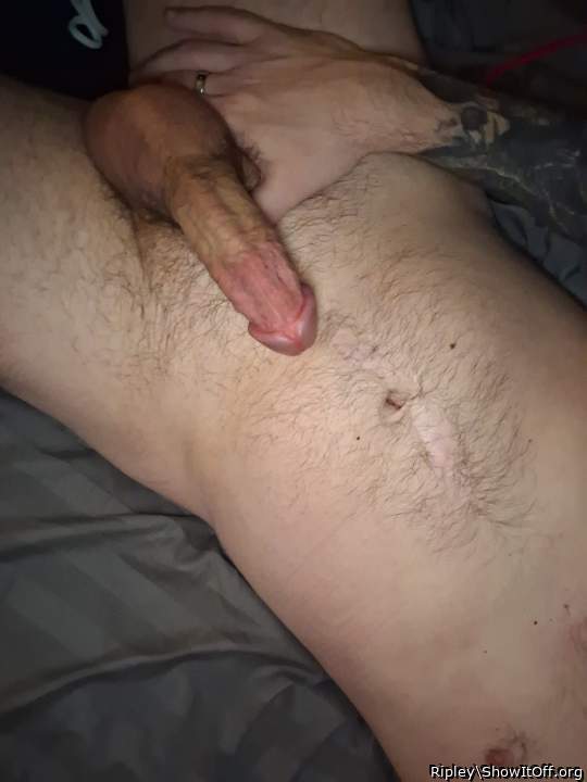 Adult image from Ripley