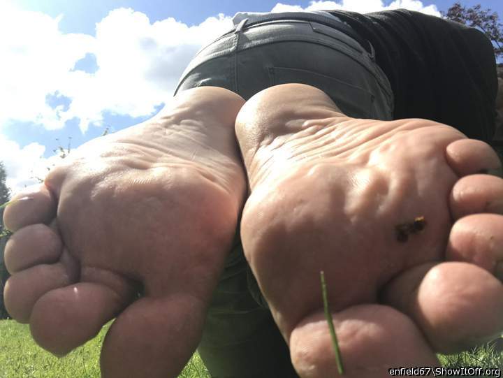 I so happy to sperm your feet, Dear!