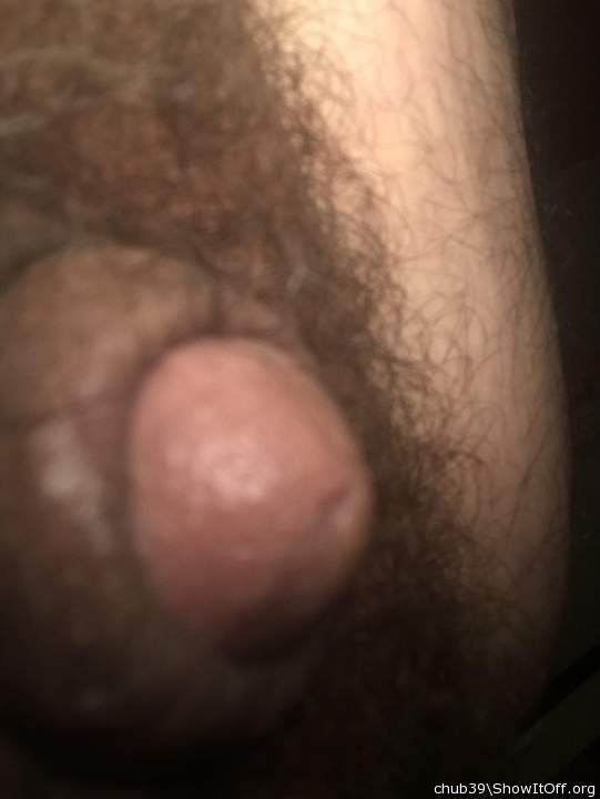 Adult image from chub39