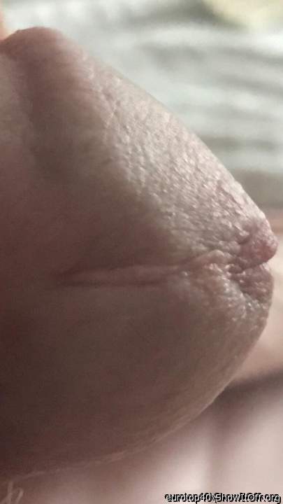 Adult image from eurotop40