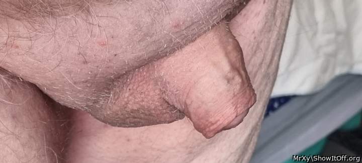 My Stubby