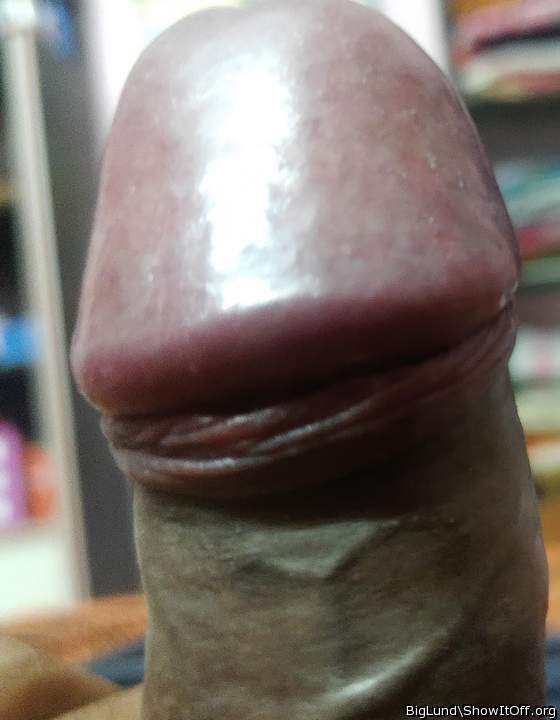 Adult image from BigLund