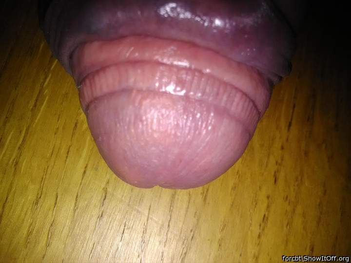 Adult image from forcbt