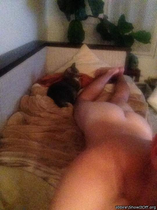 Adult image from sbbire