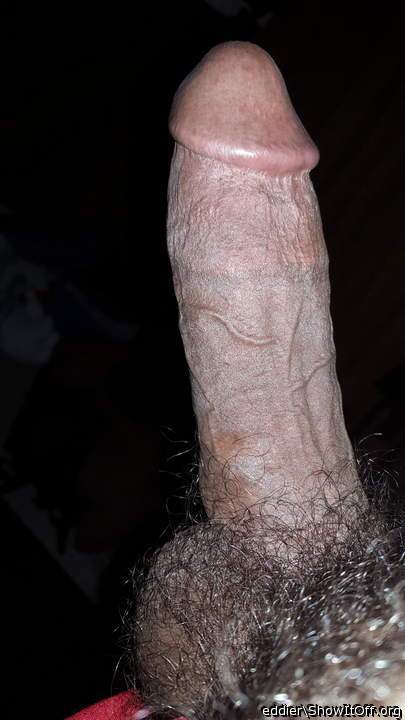 Adult image from eddier