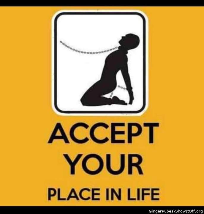 Adult image from GingerPubes