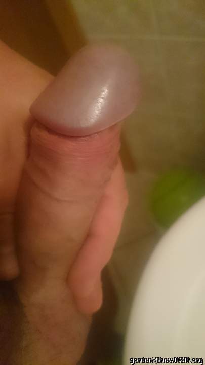 Adult image from gordon