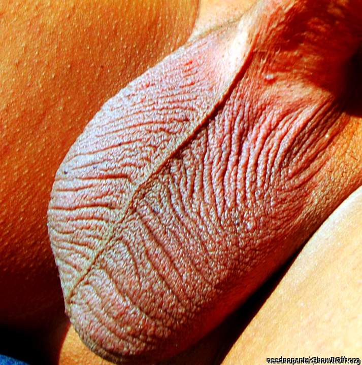 Adult image from neednopants