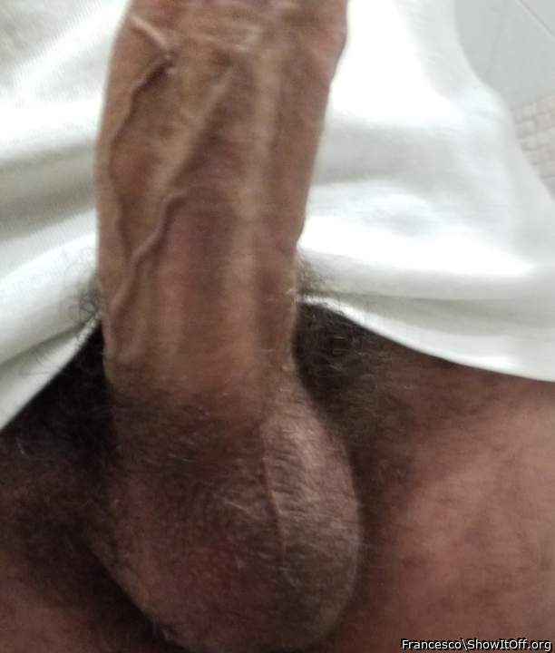 Adult image from Francesco
