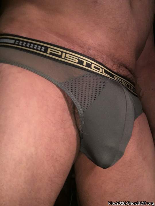 Adult image from Pibo2020