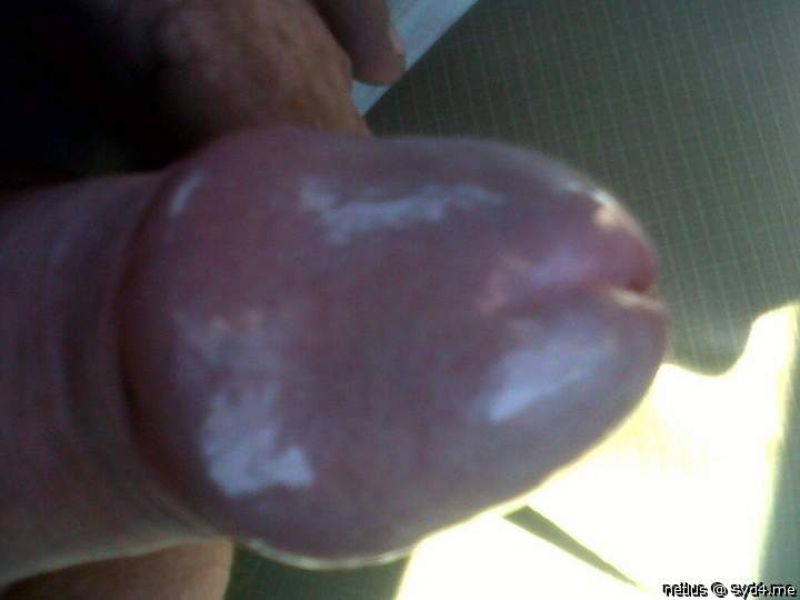 Adult image from netlus