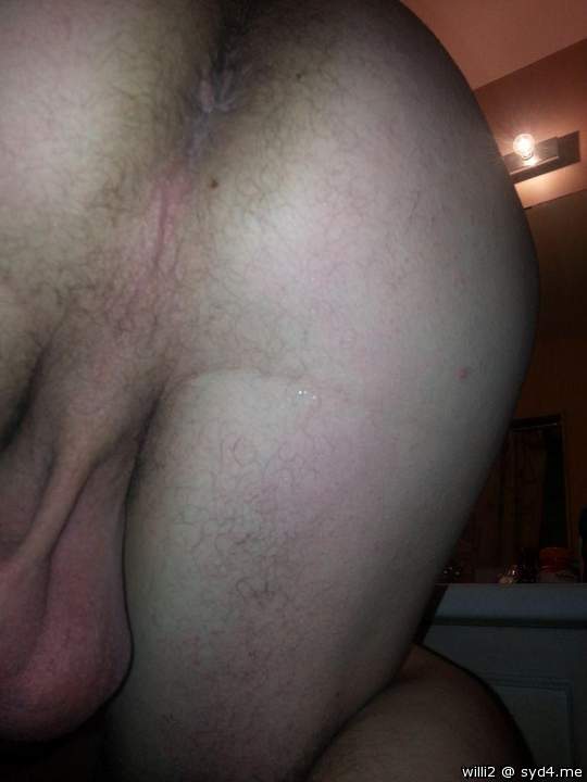 Adult image from WILLI2