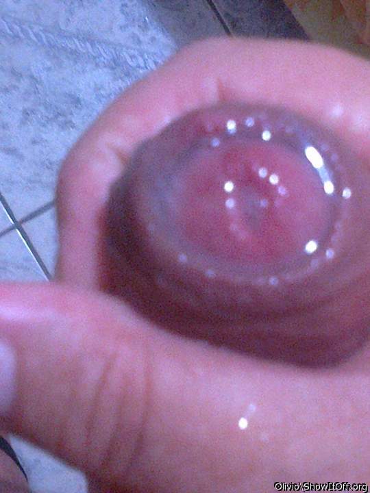 Adult image from olivio