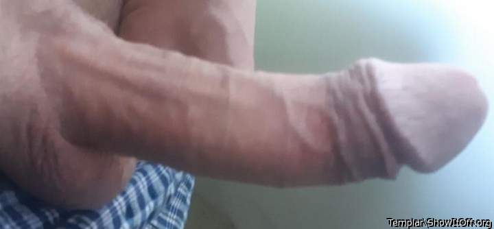 Adult image from Templar