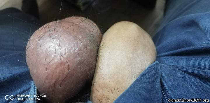 Adult image from alanck