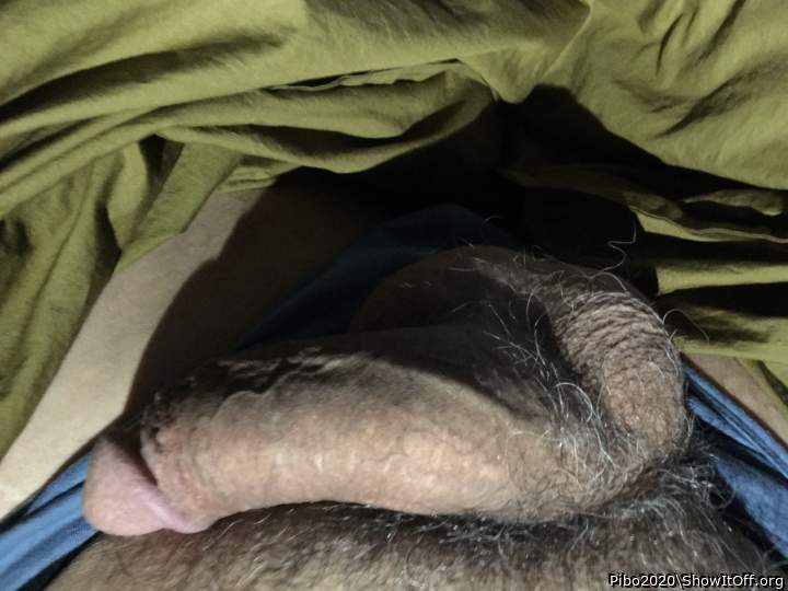 Adult image from Pibo2020