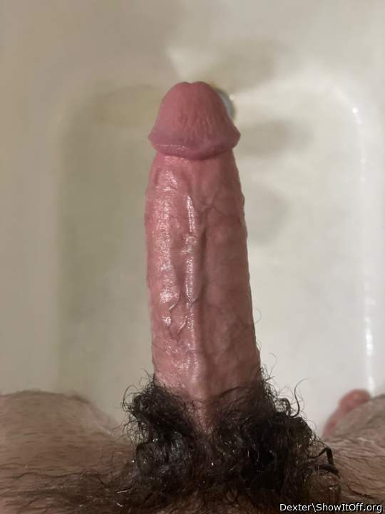 Perfect penis!!!