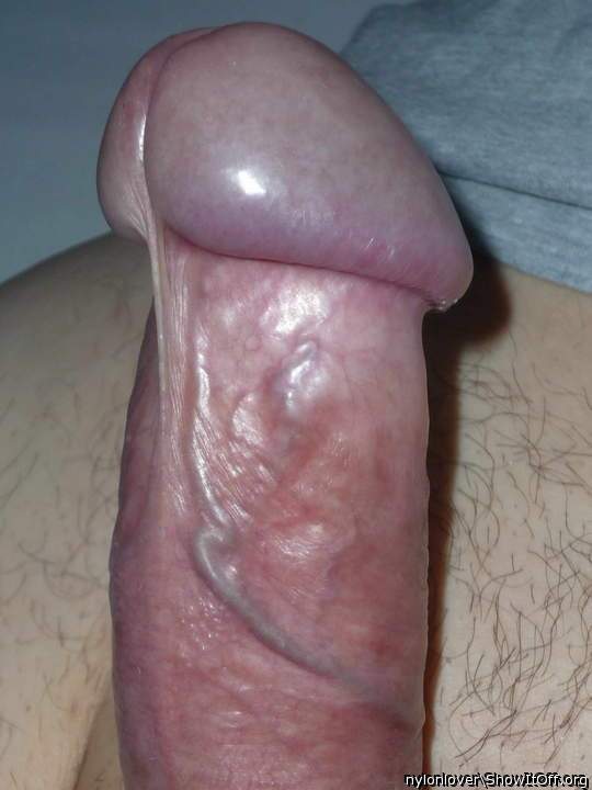 Adult image from nylonlover