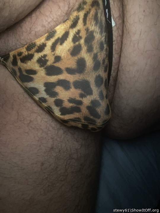 Adult image from stewy61