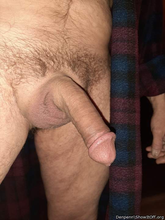 Adult image from Denpenn