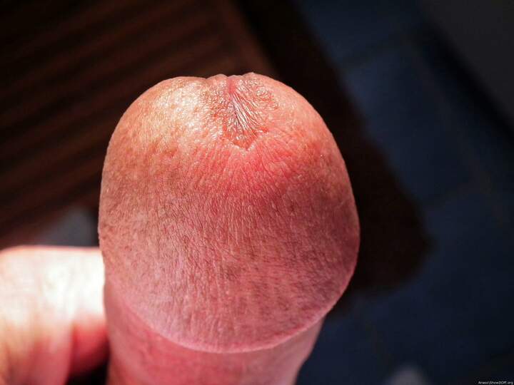 Adult image from Anass
