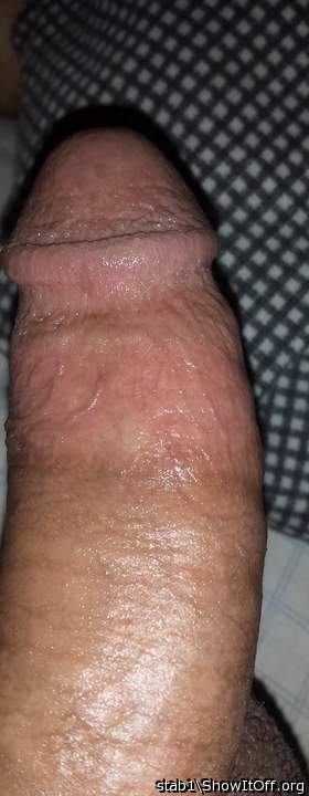 Adult image from stab1
