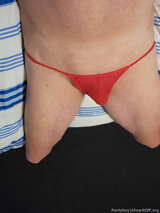 Adult image from Pantyboy