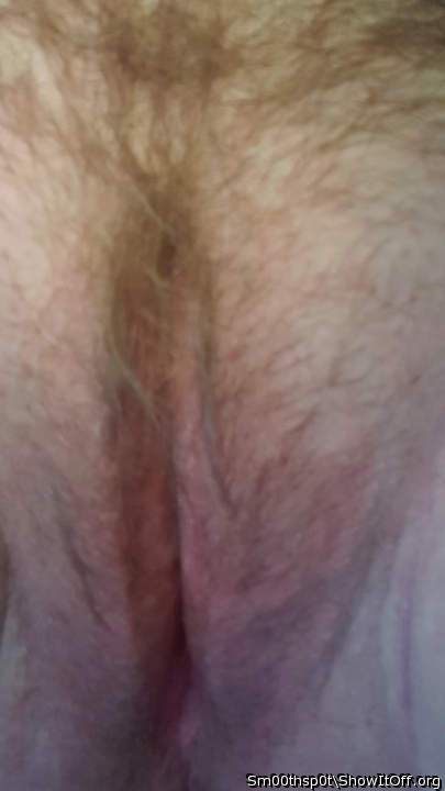 The Bush
