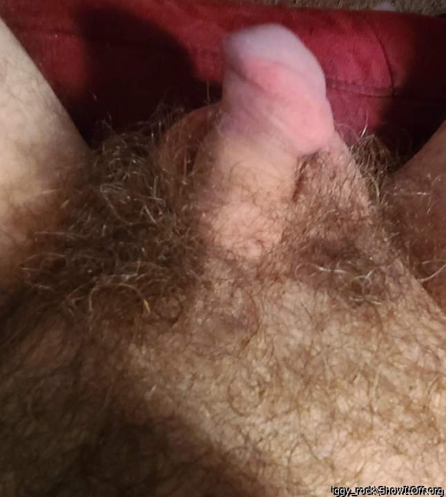 Great bush!    