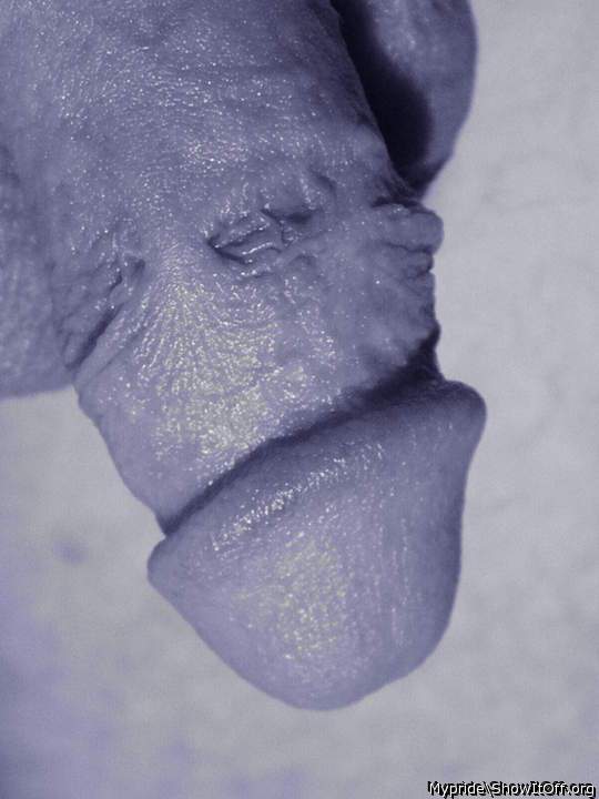 Adult image from Mypride