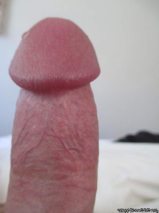 Adult image from cskyy