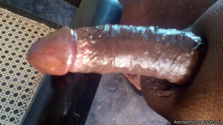 Adult image from Animesh