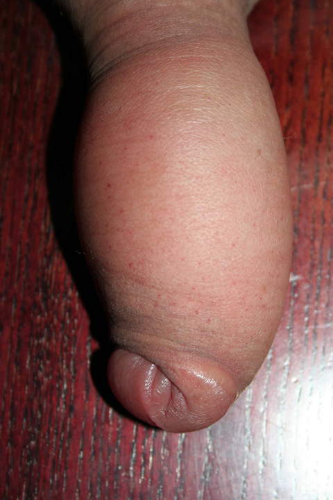 Adult image from nylonlover