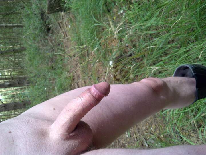 Adult image from protwin