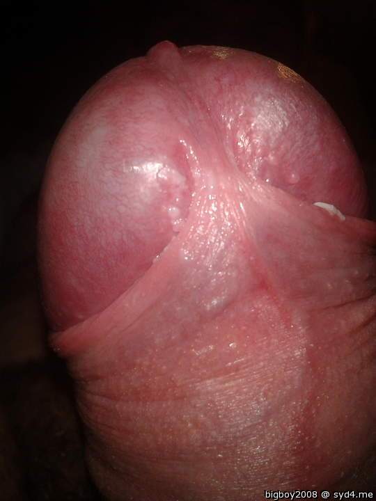 Adult image from bigboy2008