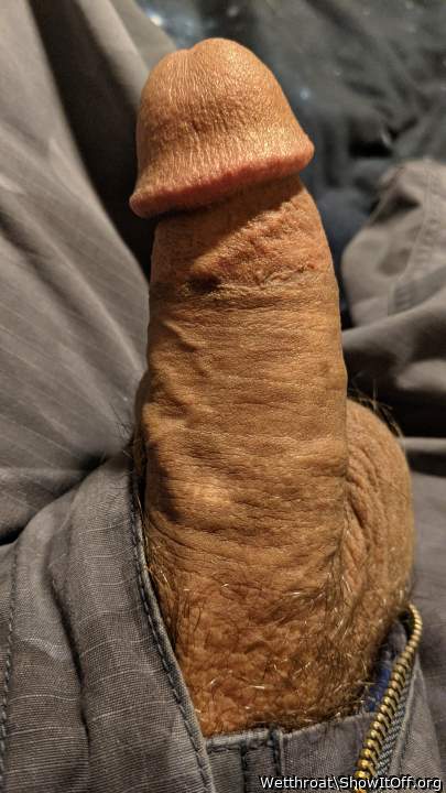 Adult image from Wetthroat