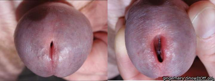 Adult image from gingerhairy