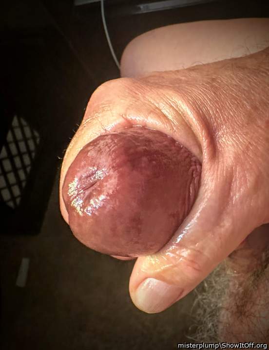 Adult image from misterplump