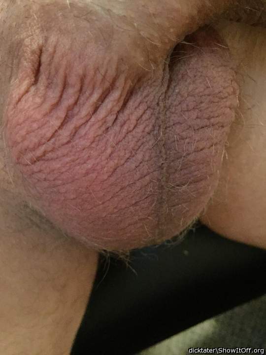 I WANT TO LICK YOUR BALLS