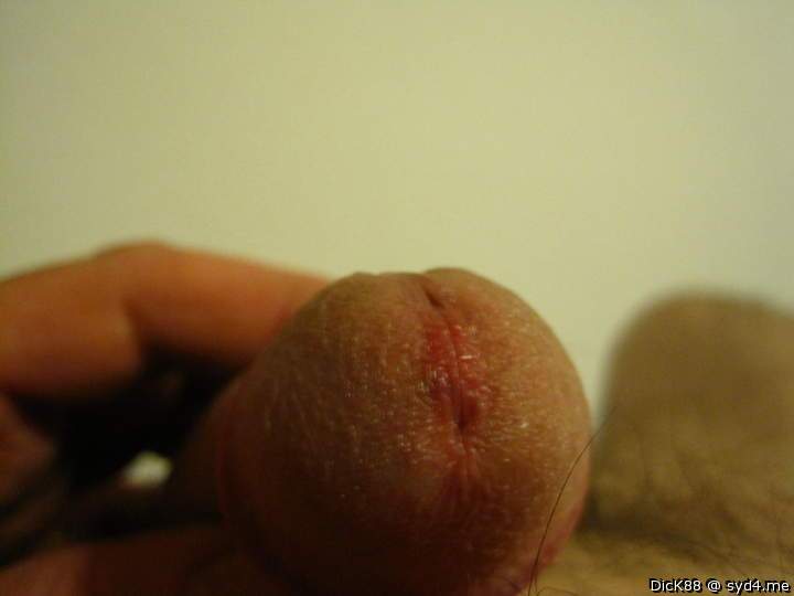 Adult image from Dick88