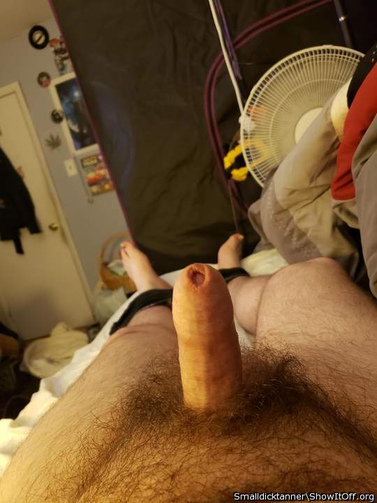 Adult image from SmallDickTanner