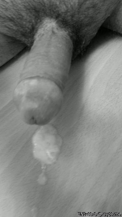Adult image from TNT-48-8