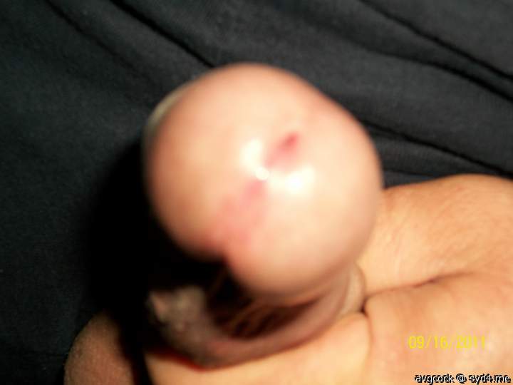 Adult image from avgcock