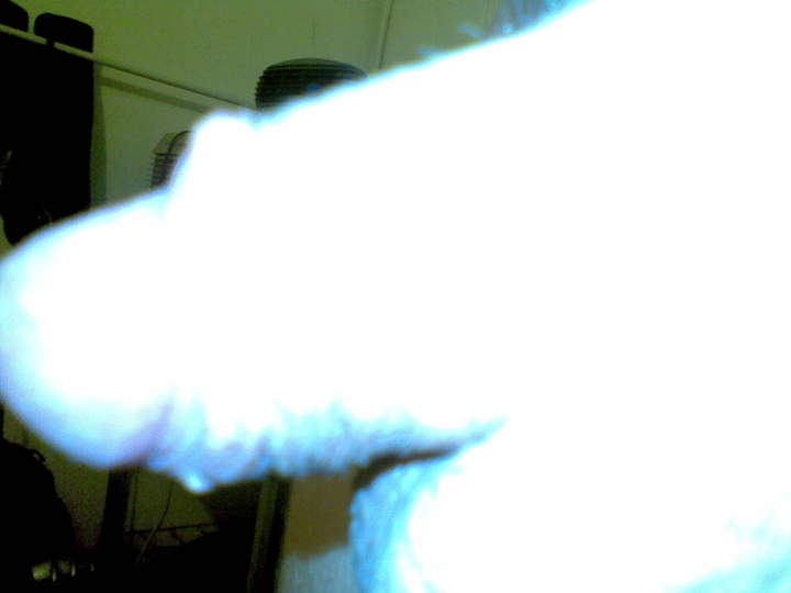 Adult image from 450