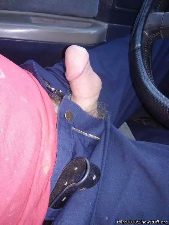 Adult image from tbird3030