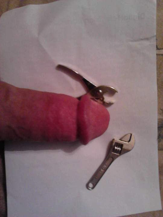 Adult image from fish4free