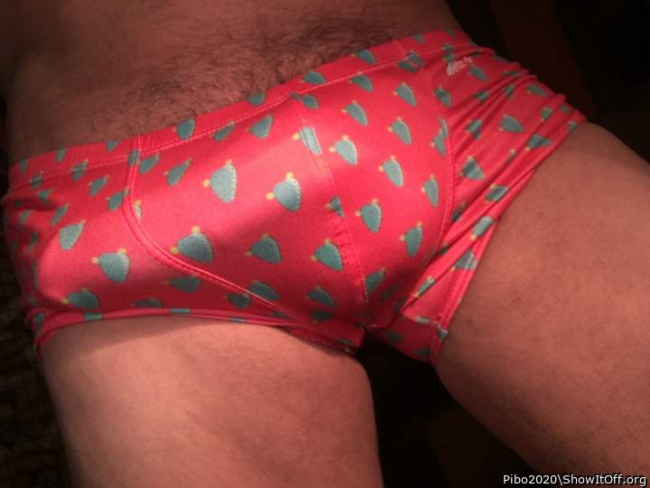 Adult image from Pibo2020