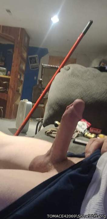 Adult image from TOMACE42069
