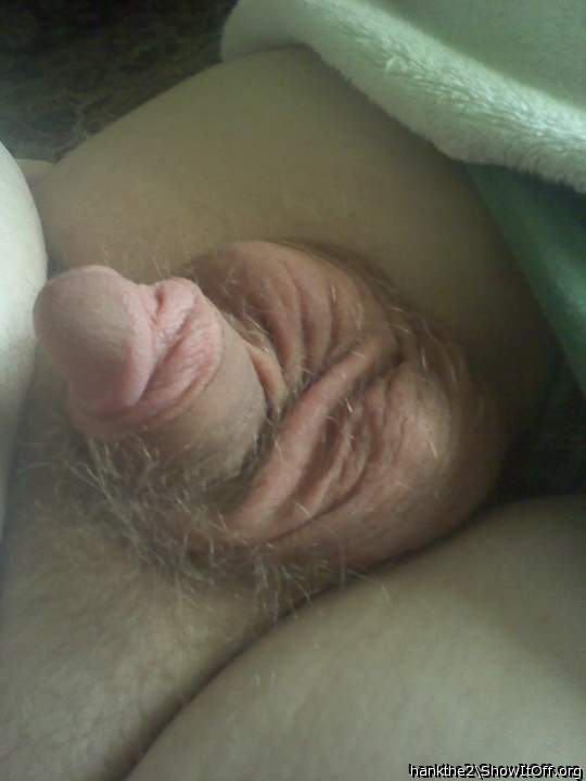 Adult image from hankthe2
